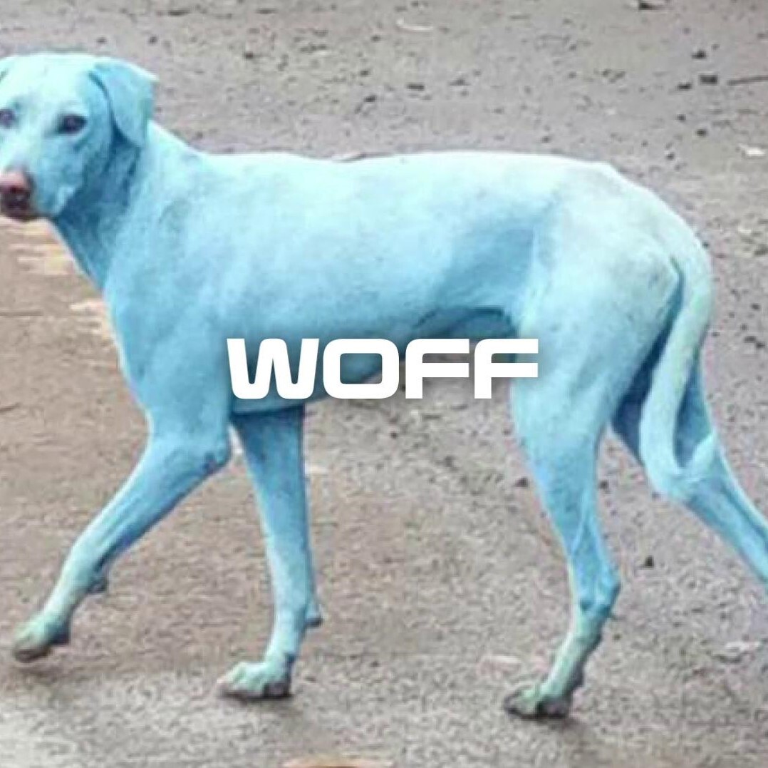 hund