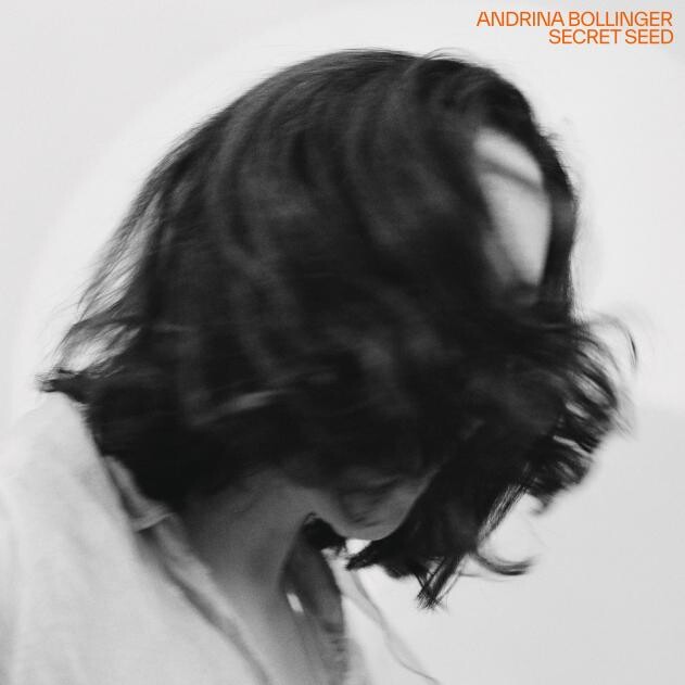 Andrina Bollinger - Secret Seed