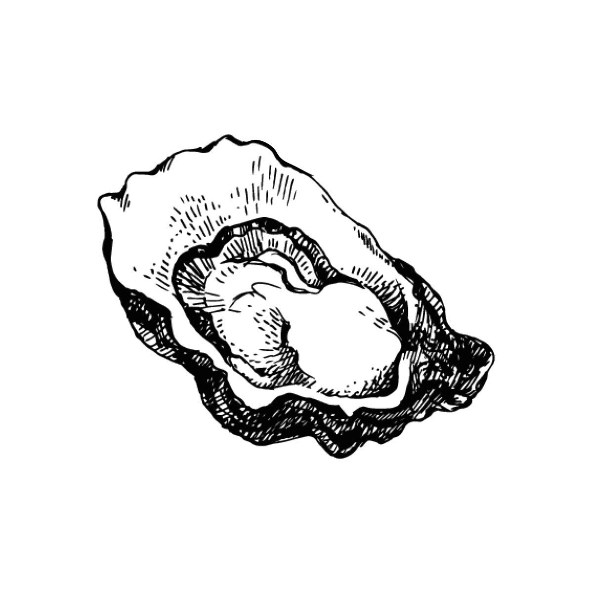Oyster Kitchen