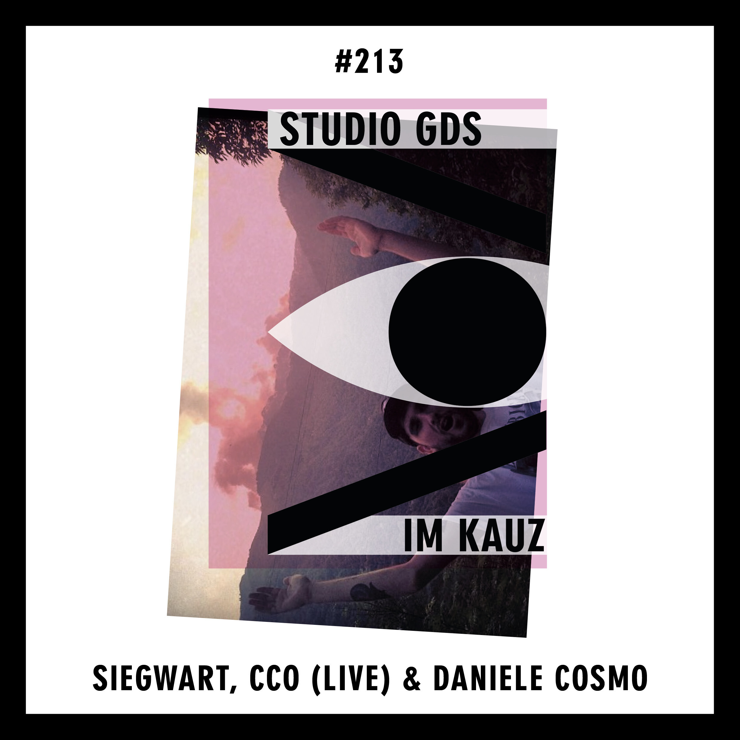 siegwart dj