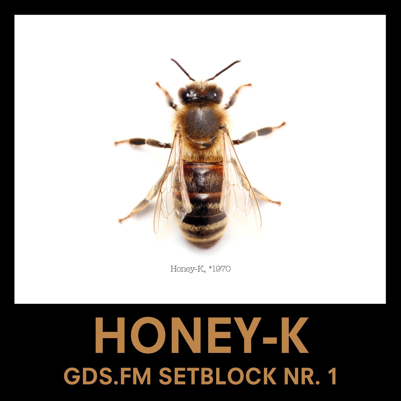 Honey-K Adrian Hoenicke