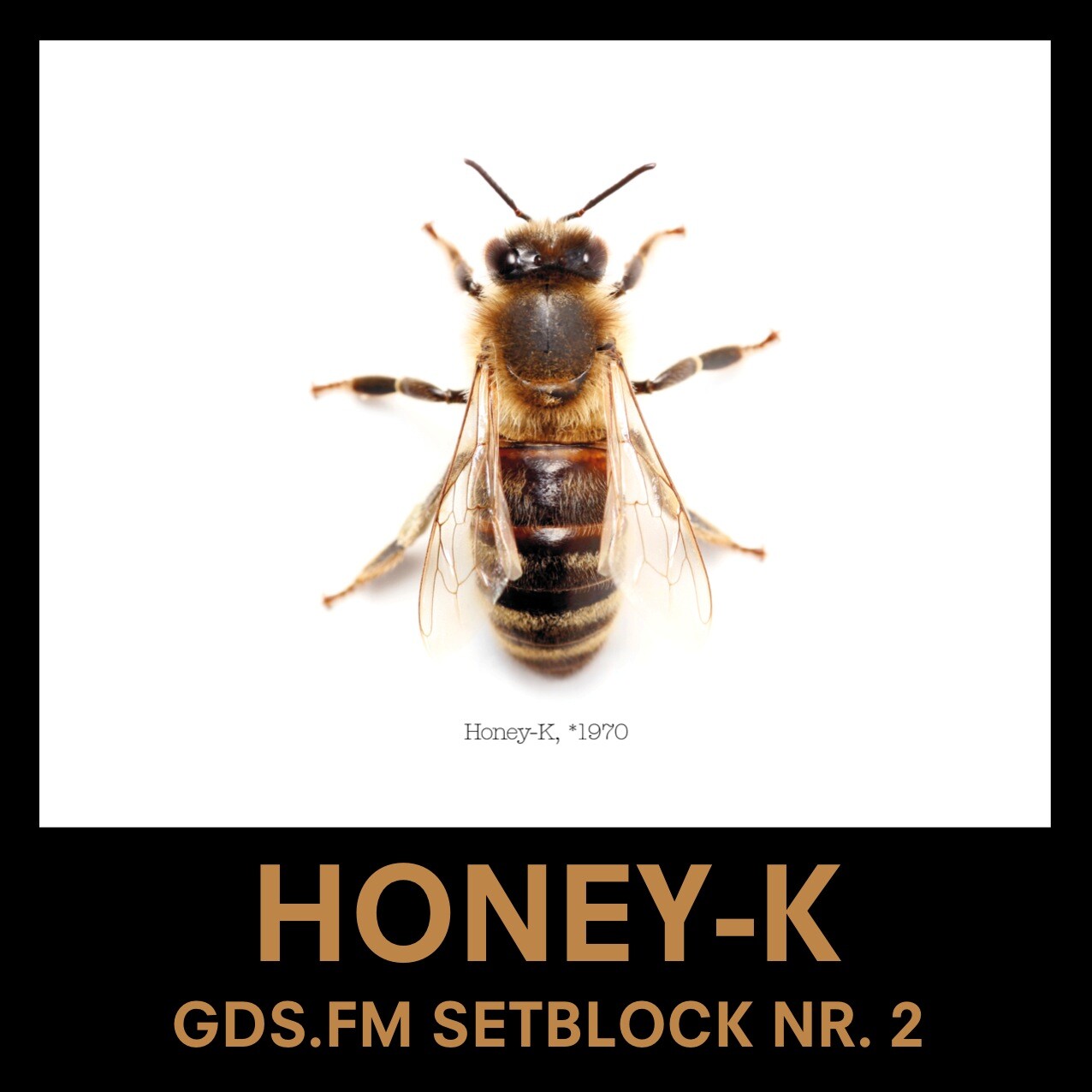 Honey-K Adrian Hoenicke