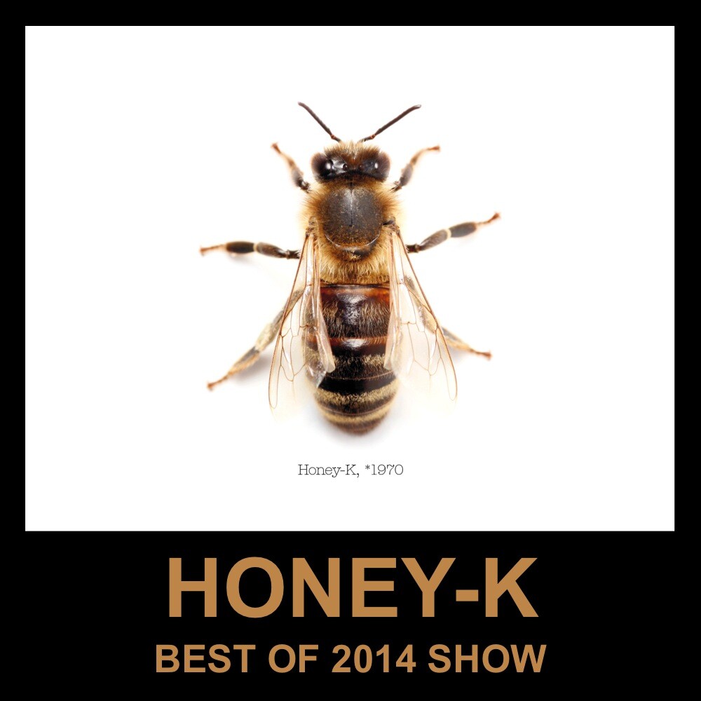 HONEY-K